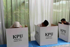 Tim Pemenangan RIDO Minta KPU Tanggung Jawab Rendahnya Partisipasi Pemilih Pilkada 2024: Lakukan PSU!  