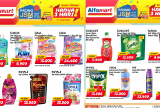 Katalog Promo JSM Alfamart 17-19 April 2026, Diskon Sunlight Cuma Rp12 Ribuan!