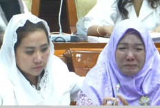 Di Hadapan Komisi III, Keluarga ABK Fandi Beberkan Dugaan Kejanggalan Muatan Kapal