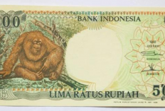 Berapa Harga Uang Kuno 500 Rupiah Tahun 1992? Harta Karun Langka Incaran Kolektor