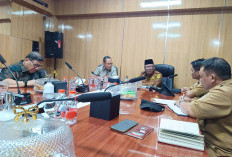 APHI Dorong Multiusaha Kehutanan Perkuat Ekonomi Maluku Utara