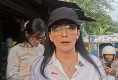 Usai Tragedi Kecelakaan KA di Stasiun Bekasi Timur, Rieke Diah Pitaloka Minta KPPU Usut Green SM Soal Tarif