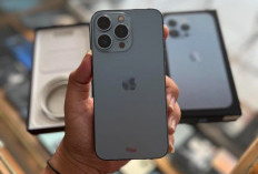 Harga iPhone 13 Pro Max Second 2025: Variasi, Faktor Pembeda dan Tips Membeli