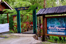Mengenal Eduwisata Mangrove di Banten, Perusahaan Ini Ternyata Punya Peran Besar