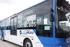 Lowongan Kerja Transjakarta Terbaru Juli 2025: 9 Posisi Dibuka, Cek Syarat dan Cara Daftarnya!