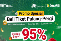 Cek Promo Gila Damri Spesial Natal 2025, Rute Jawa–Jakarta Super Hemat!