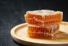 11 Manfaat Madu untuk Kesehatan, Semua Nyata Disebut dalam Al-Qur’an