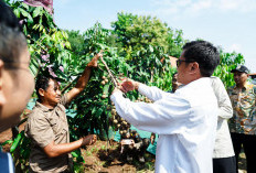 Kejar Nol Kemiskinan Ekstrem, Kemenko PM Fokus Penguatan Ekonomi Kawasan