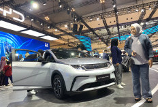 Intip Perubahan BYD Dolphin yang Diluncurkan di GIIAS 2025, Teknologi ADAS Makin Canggih