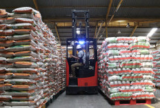 Stok Beras di Jakarta Tembus 47 Ribu Ton, Food Station Pastikan Harga Stabil
