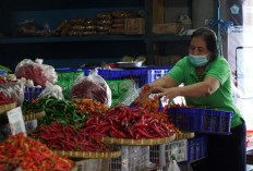 Jelang Natal dan Tahun Baru, Mentan Amran Pastikan Stok Pangan Tetap Aman