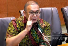 Wakil Ketua Komisi VI DPR RI Bantah Direksi BUMN Tak Bisa Diproses Hukum
