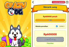 Main Game Penghasil Uang Crazy Dog Bisa Dapat Saldo DANA Gratis Rp600 Ribu, Begini Caranya!