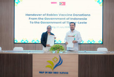 Bantu Perangi Rabies, Kemenkes Serahkan 2.000 Vial Vaksin ke Timor Leste