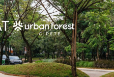 Cara ke Urban Forest Cipete Jakarta Selatan Naik Transjakarta dan KRL, Spot Piknik Seru di Taman tengah Kota!