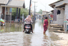 Lebih dari Seribu Rumah Warga Desa Hurip Kabupaten Bekasi Terendam Banjir Rob