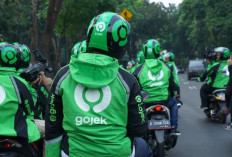 Ojol Jadi Angkutan Umum, Menhub Dudy Minta Aplikator Pantau Kondisi Kendaraan dan Ingatkan Servis