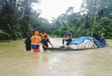 Banjir Rendam 23 Desa di Pandeglang, Ketinggian Air Tembus 1 Meter   