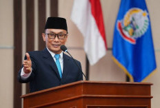 CPNS 2026 Kapan Dibuka? Kepala BKN Akhirnya Buka Suara