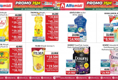 Promo JSM Alfamidi Terbaru 27-29 Desember 2024 Spesial Tahun Baru 2025, Sabun Cuci Piring Rp8 Ribuan