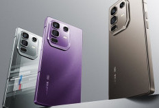 10 HP Murah Rp2 Jutaan Terbaik Mei 2026, Spek Gaming dan Kamera Mulai Mirip HP Midrange