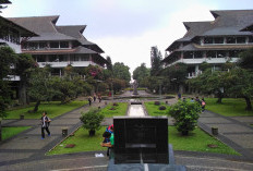 ITB Buka Beasiswa Media 2026 untuk Jurnalis, Kuliah S2 Gratis di Bandung: Simak Syarat, Kuota dan Jadwalnya