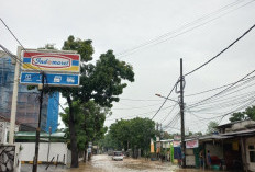 BPBD: 3 RT di Wilayah DKI Jakarta Masih Tergenang Banjir