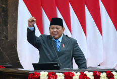 Kejar 100 GW PLTS, Prabowo Target Hentikan 13 GW PLTD