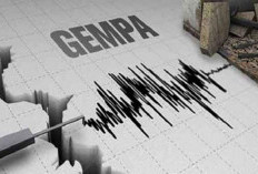 Update Gempa 7,5 SR Guncang Jepang Utara, Lebih dari 20 Warga Terluka dan Peringatan Tsunami Dikeluarkan