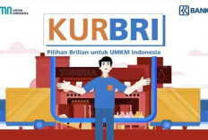 Cairkan Pinjaman KUR BRI 2025 Plafon Rp100-Rp500 Juta, Cara dan Syarat Pengajuan Cek di Sini!