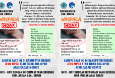 Terungkap Fakta Isu Pj Bupati Brebes Suspek Mpox, Dinkes Beri Penjelasan