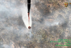 Karhutla Kalimantan Tengah Belum Padam, 11.786 Hektare Lahan Masih Terbakar