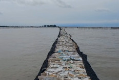 Biaya Pembanggunan Bagar Laut Tembus Miliaran Rupiah, Netizen: Nelayan Tangerang Sekaya Itu?