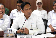 Kinerja Bulog atas Dukungan Swasembada Pangan 2025 Bakal Berbuah Reward Margin Fee