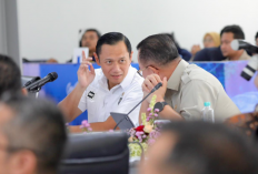 Kemenko Infra Dorong Percepatan Pengembangan Kereta Api Trans Sumatera, Kalimantan, dan Sulawesi 