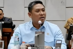 Rp535 Miliar Batal Digelontorkan! BGN Hentikan Pengadaan LED yang Dinilai Mengada-ngada