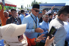 Hadir di PENAS Petani Nelayan 2026 Gorontalo, BULOG Tegaskan Komitmen Swasembada Pangan Berkelanjutan