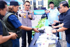Polda Jambi Musnahkan 20 KG Sabu dan Ribuan Ekstasi, Selamatkan 126 Ribu Jiwa