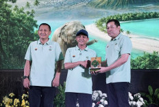Indonesia-India Perkuat Konservasi Gajah Sumatera, Sediakan Ambulans Satwa