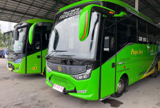 Tambah Armada Baru, PO Puspa Jaya Lampung Andalkan Hino GB BUS 150 L