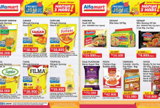 Katalog Promo JSM Alfamart 2-4 Mei 2025 Edisi Awal Bulan, Borong Minyak Goreng Cuma Rp37 Ribu