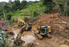 Anggaran BNPB Merosot, Dampaknya Berpengaruh ke Penanggulangan Bencana di Sumatera