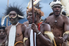 Kinerja Artis Senior Ari Sihasale di Komite Otsus Papua Dipertanyakan