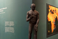 Penampakan Fosil Homo Erectus di Museum Nasional Indonesia, Pertama Dipamerkan sejak Ditemukan