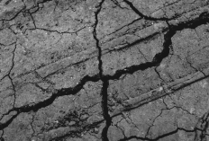 Gempa Jogja Hari Ini 27 Januari 2026 Bikin Pengunjung Kafe Panik,  Langsung Evakuasi Mandiri