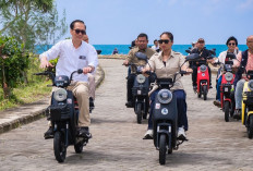 Wamenpar Tak Ingin Gegabah Batasi Wisman Akibat Virus Nipah: Pintu Masuk Diperketat!