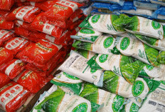 Harga Beras di Pasar Dunia Menurun, Bapanas Perkuat Stok CPP di Indonesia