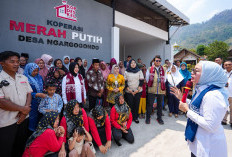 Wamenkop Pastikan Operasional KDKMP Di Magelang Berjalan Lancar