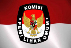 Putusan MK soal Pemilu Terpisah Cerminan Lembaga Superbody Tanpa Pengawasan