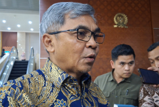 Ketua KPK Angkat Bicara soal Desakan Ambil Alih Kasus Eks Jampidsus Febrie Adriansyah